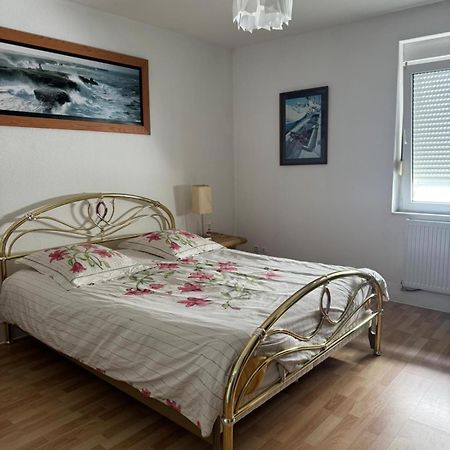 200 M Centre Ville Maison Mitoyenne Avec Place De Parking Gratuite Эпиналь Экстерьер фото